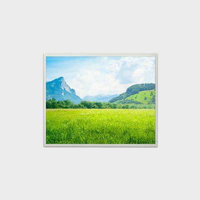 19 inch 高亮液晶屏 1280*1024 LVDS 500nits