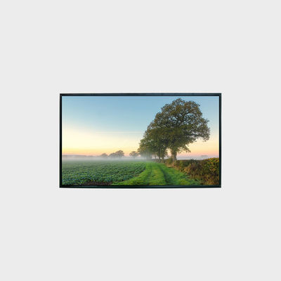 43 inch 高亮液晶屏 1920*1080 LVDS 1500nits