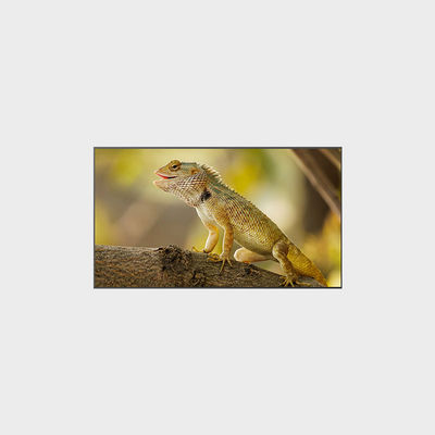 98 inch 高亮液晶屏 3840*2160 V-by-One 2000nits