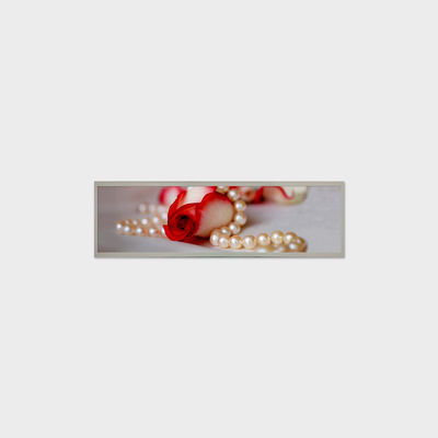 19.4 Inch 条形液晶屏 1920*510 LVDS 1000nits