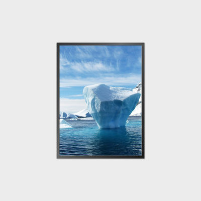 21.6 Inch 条形液晶屏 669*899 LVDS 400nits