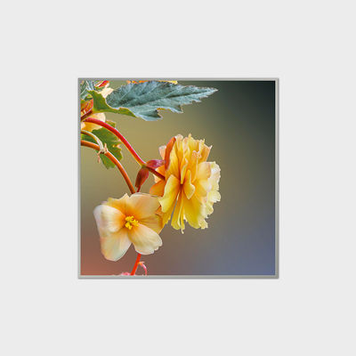33.2 Inch 方形液晶屏 1920*1920 420nits LVDS 液晶模组