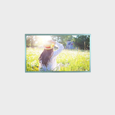 27 inch 高亮液晶屏 1920*1080 LVDS 700nits
