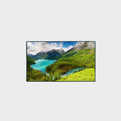 49 inch 高亮液晶屏 1920*1080 LVDS 2500nits