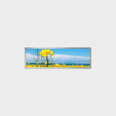 19.4 Inch 条形液晶屏 1920*510 LVDS 500nits
