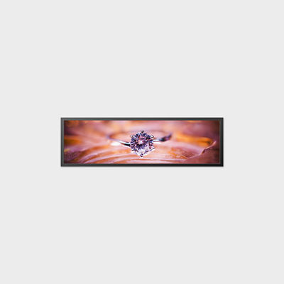 19.5 Inch 条形液晶屏 1920*536 LVDS 700nits
